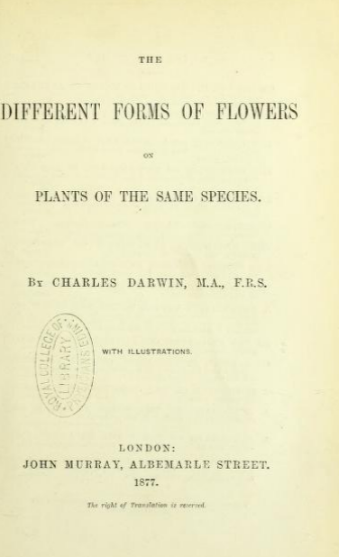 The Different Forms of Flowers on Plants of the Same Species